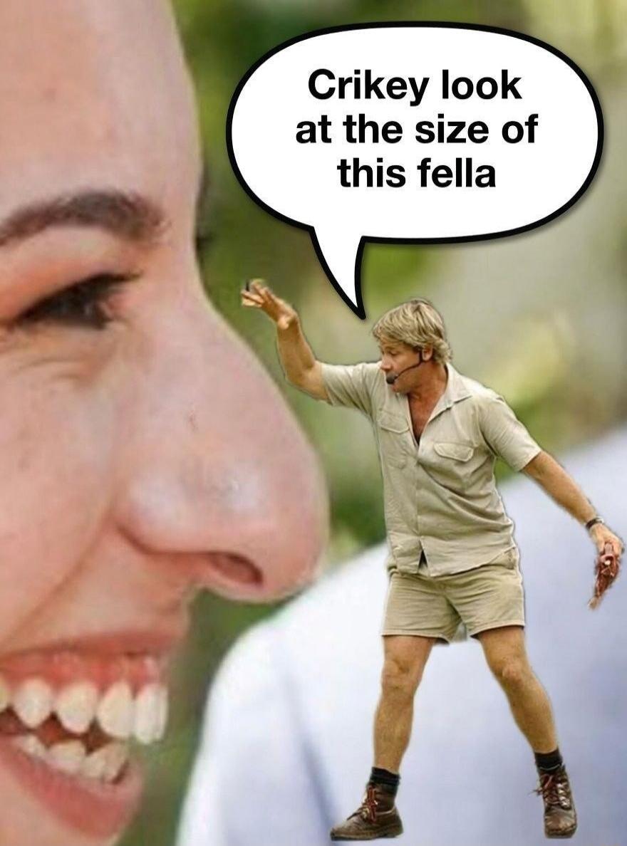 Crikey look at the size of this fella