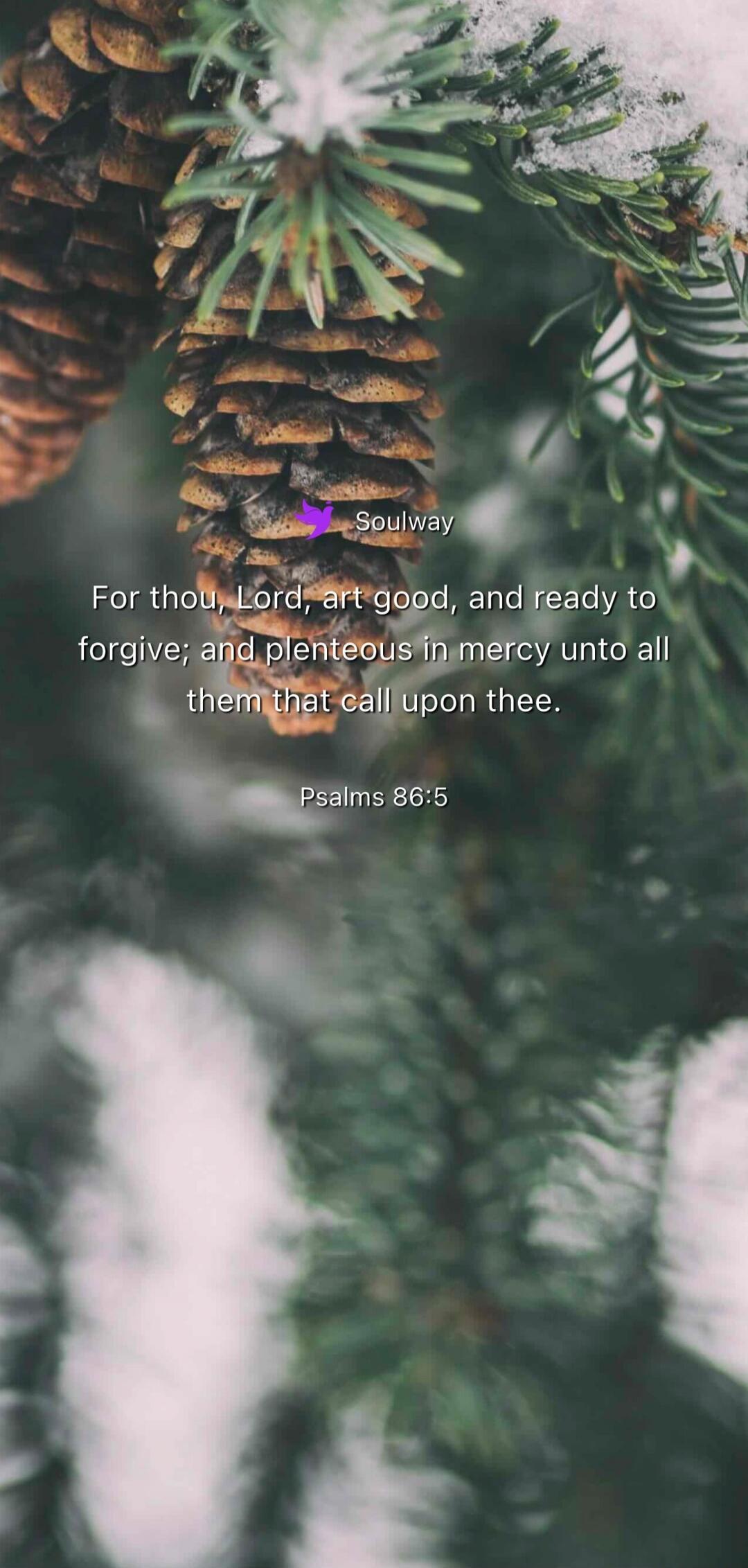 Soulway For thou, Lord, art good, and ready to forgive; and plenteous in mercy unto all them that call upon thee. Psalms 86:5