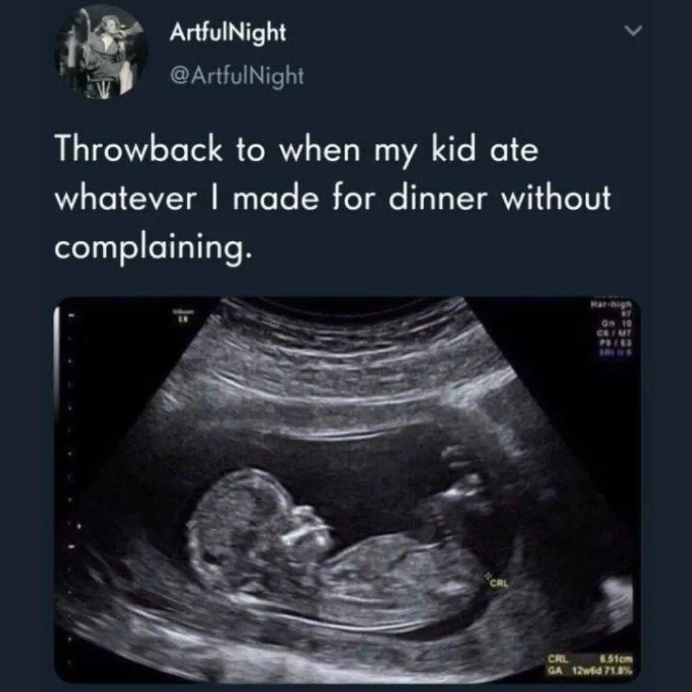 ArtfulNight v ArfulNight Throwback to when my kid ate whatever made for dinner without complaining