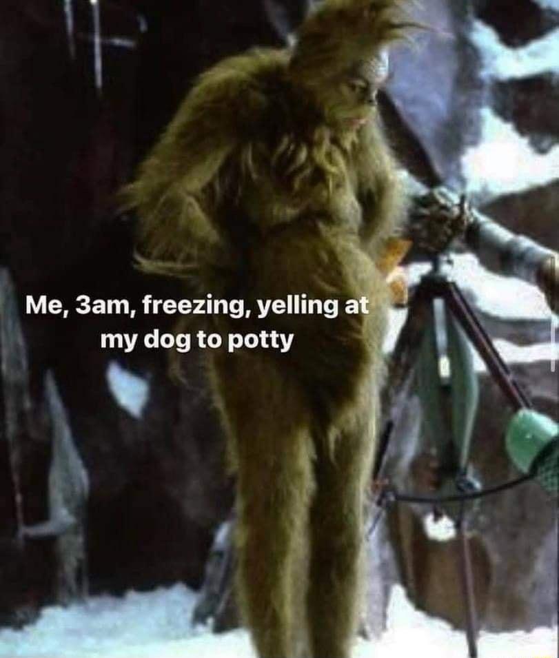 Me 3am freezing yelling my dog to potty