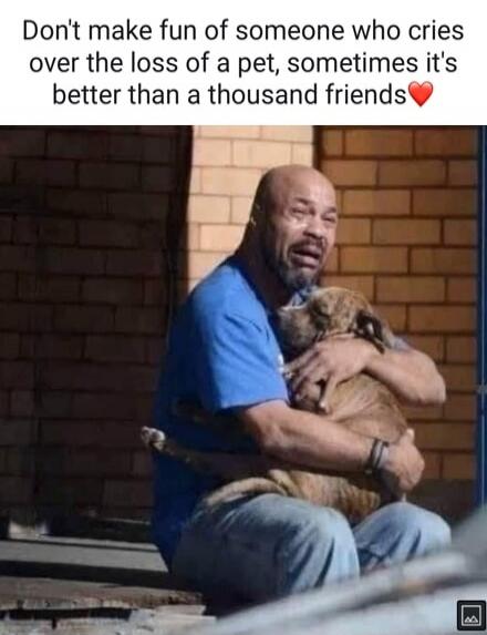Don't make fun of someone who cries over the loss of a pet, sometimes it's better than a thousand friends ❤️