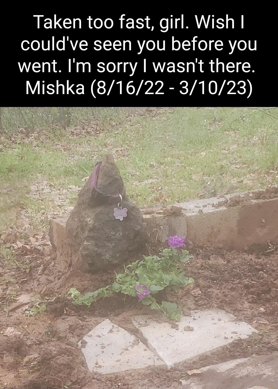 REUCHRCIR M VI couldve seen you before you went Im sorry wasnt there Mishka 81622 31023