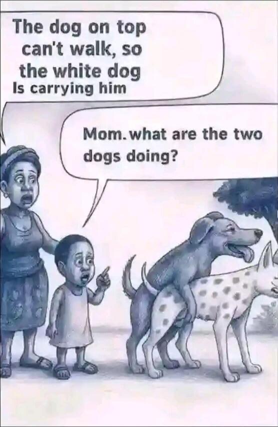 The dog on top can't walk, so the white dog Is carrying him
Mom, what are the two dogs doing?