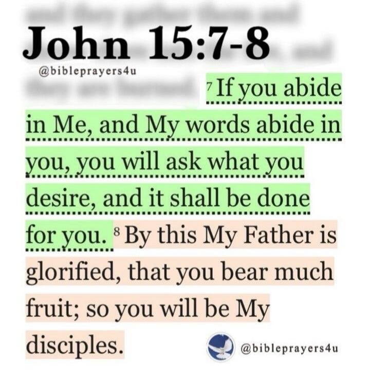 John 15:7-8 If you abide in Me, and My words abide in you, you will ask what you desire, and it shall be done for you. By this My Father is glorified, that you bear much fruit; so you will be My disciples.