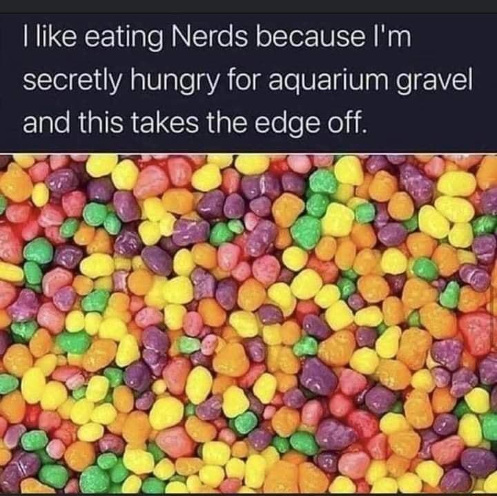 like eating Nerds because Im secretly hungry for aquarium gravel Ee RGN EICER Y To e Xel i