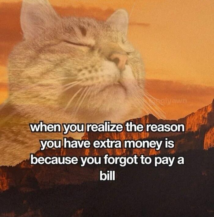 when you realize the reason you have extra money is because you forgot to pay a bill