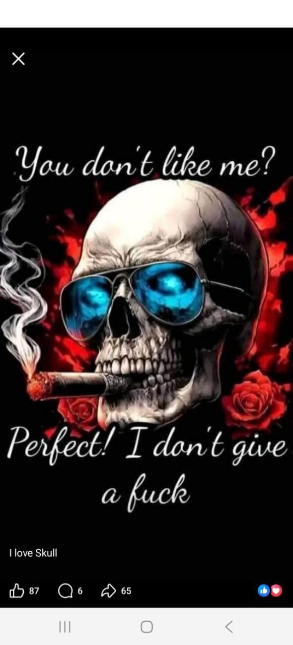 You don't like me? Perfect! I don't give a fuck. I love Skull