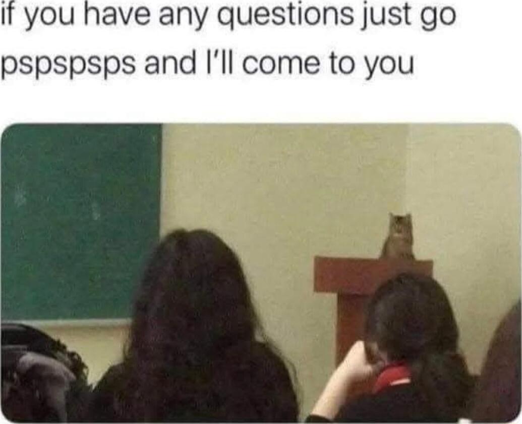 I you have any questions just go pspspsps and Ill come to you