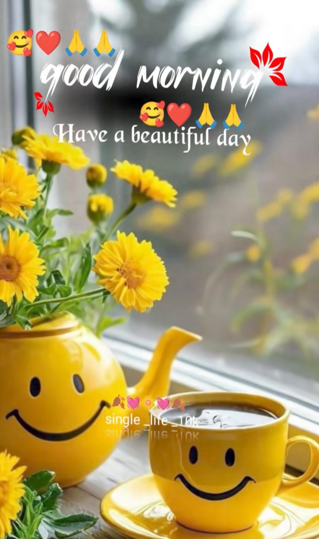 good morning Have a beautiful day single_life_10k