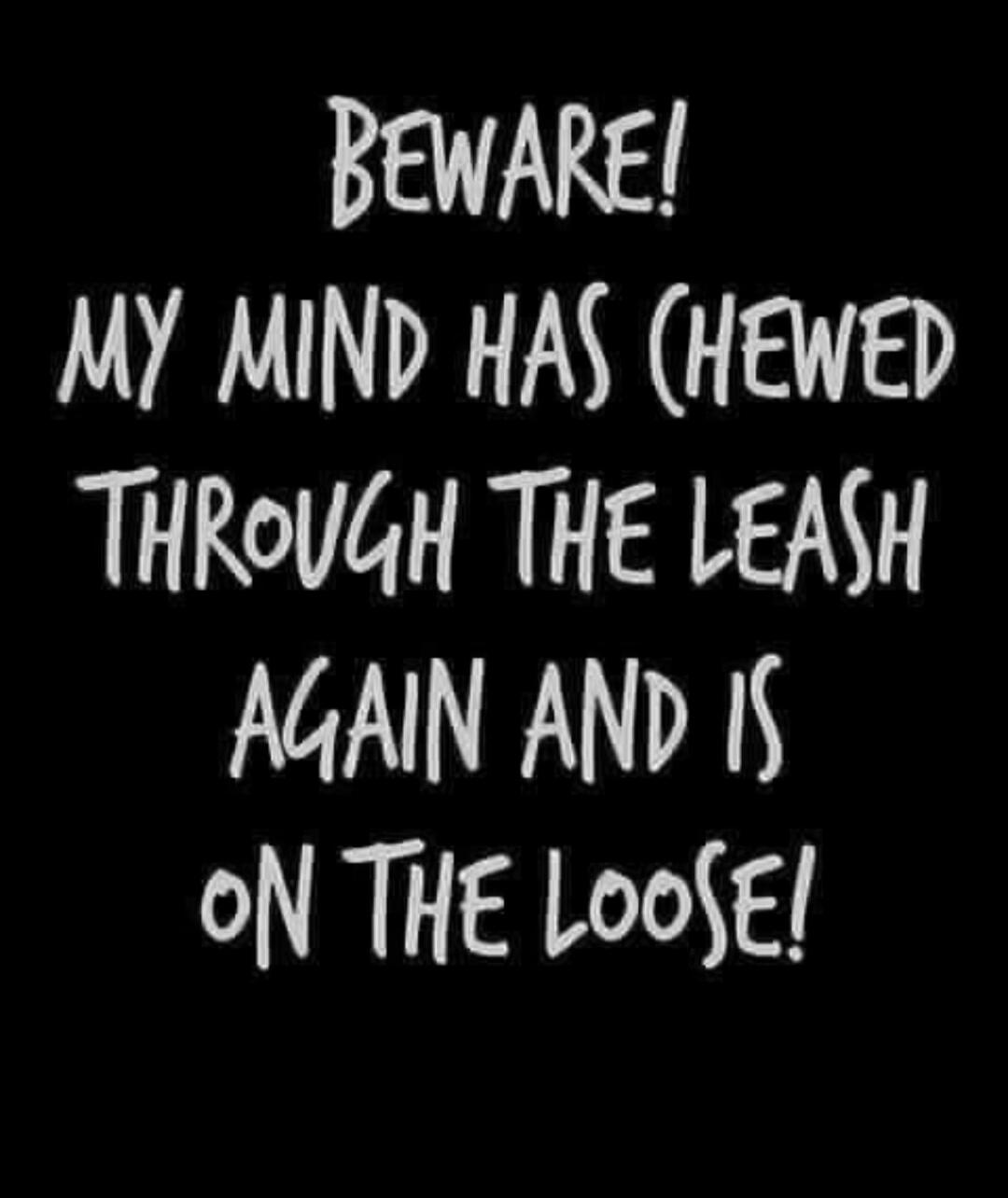 BEWARE! MY MIND HAS CHEWED THROUGH THE LEASH AGAIN AND IS ON THE LOOSE!