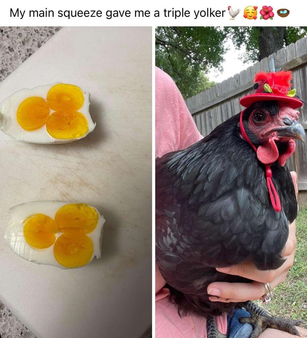 My main squeeze gave me a triple yolker