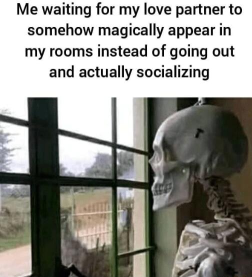 Me waiting for my love partner to somehow magically appear in my rooms instead of going out and actually socializing