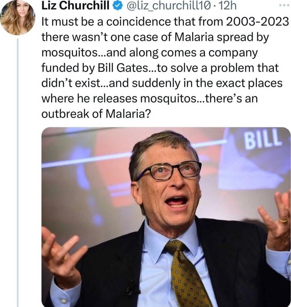 Liz Churchill liz_churchill19 12h It must be a coincidence that from 2003 2023 there wasnt one case of Malaria spread by mosquitosand along comes a company funded by Bill Gatesto solve a problem that didnt existand suddenly in the exact places where he releases mosquitostheres an outbreak of Malaria