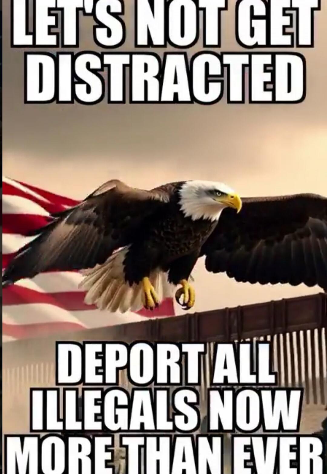 LET'S NOT GET DISTRACTED DEPORT ALL ILLEGALS NOW MORE THAN EVER