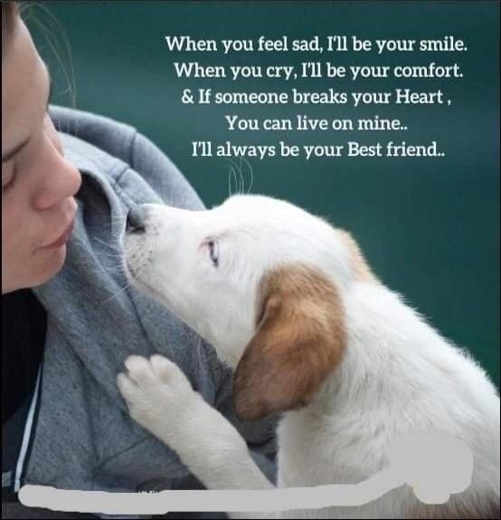 When you feel sad, I'll be your smile. When you cry, I'll be your comfort. & If someone breaks your Heart, You can live on mine.. I'll always be your Best friend..