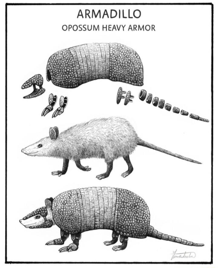 ARMADILLO OPOSSUM HEAVY ARMOR