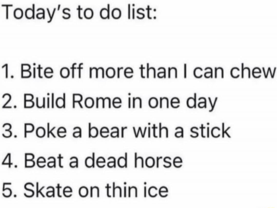 Today's to do list: 1. Bite off more than I can chew 2. Build Rome in one day 3. Poke a bear with a stick 4. Beat a dead horse 5. Skate on thin ice