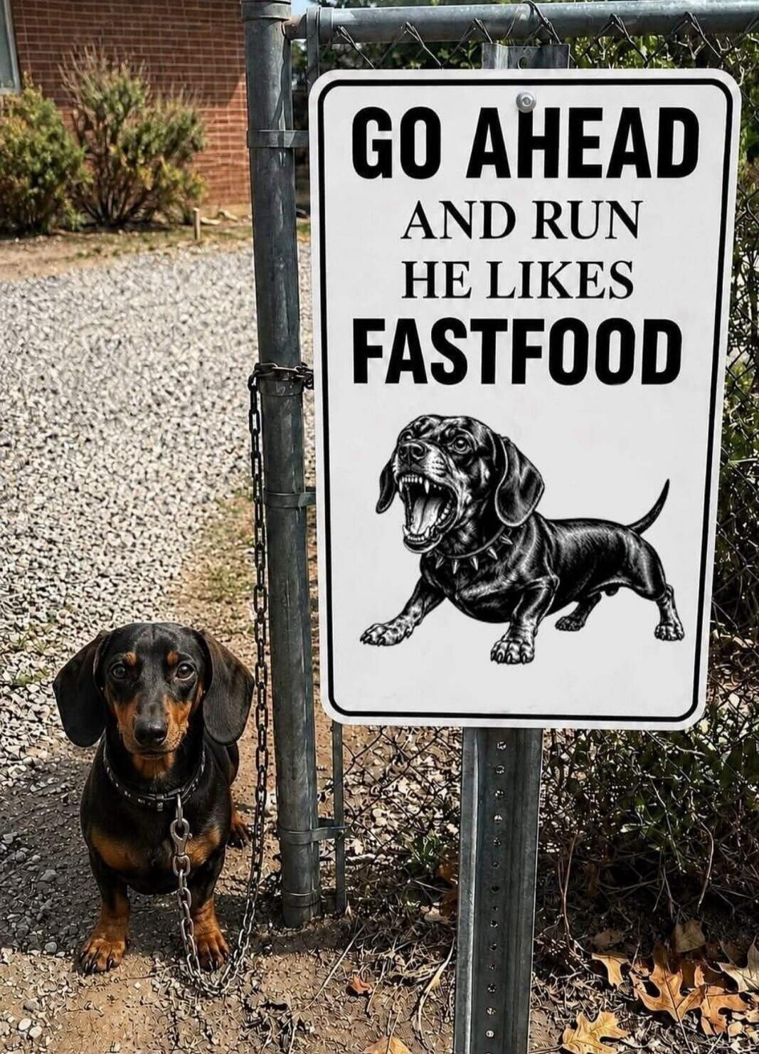 GO AHEAD AND RUN HE LIKES FASTFOOD