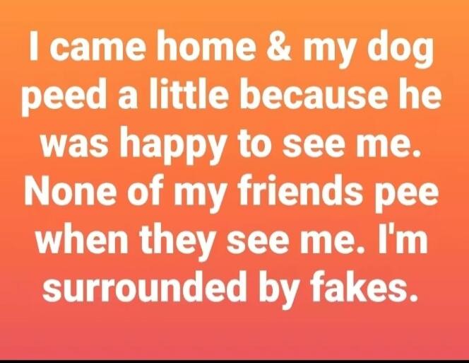 I came home & my dog peed a little because he was happy to see me. None of my friends pee when they see me. I'm surrounded by fakes.