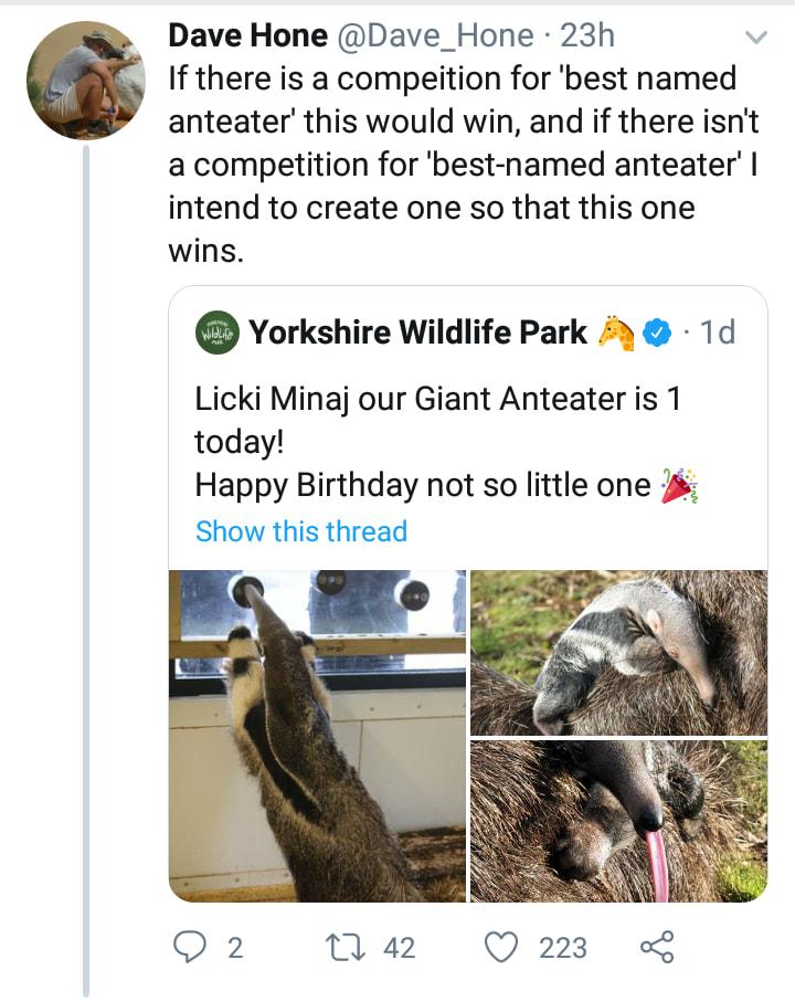 Dave Hone Dave_Hone 23h If there is a compeition for best named anteater this would win and if there isnt a competition for best named anteater intend to create one so that this one wins Yorkshire Wildlife Park 3 1d Licki Minaj our Giant Anteater is 1 today Happy Birthday not so little one Show this thread