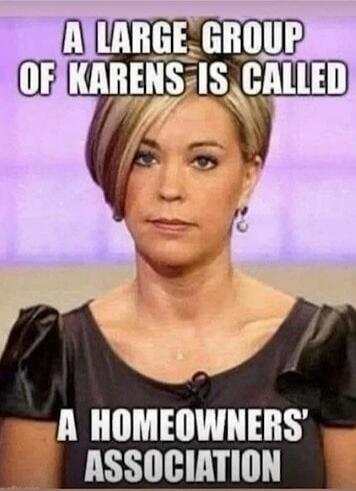 A large group of Karens is called a Homeowners' Association.