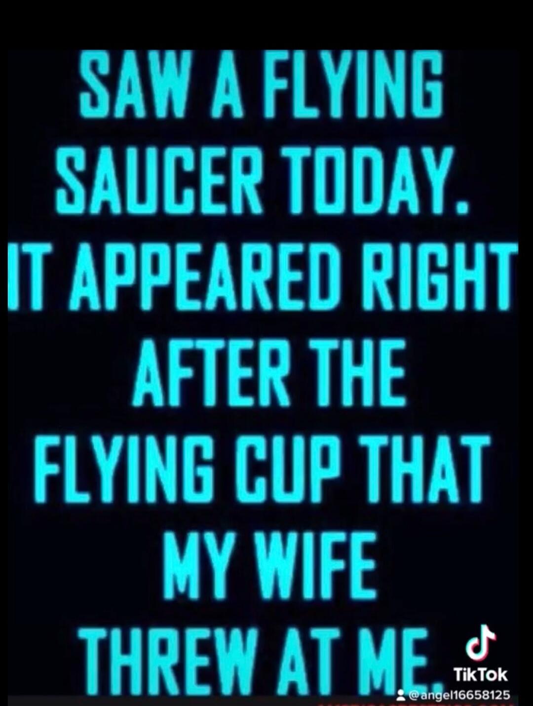 SAW A FLYING SAUCER TODAY. IT APPEARED RIGHT AFTER THE FLYING CUP THAT MY WIFE THREW AT ME.