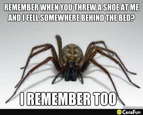 REMEMBER WHEN YOU THREW A SHOE AT ME AND I FELL SOMEWHERE BEHIND THE BED? I REMEMBER TOO