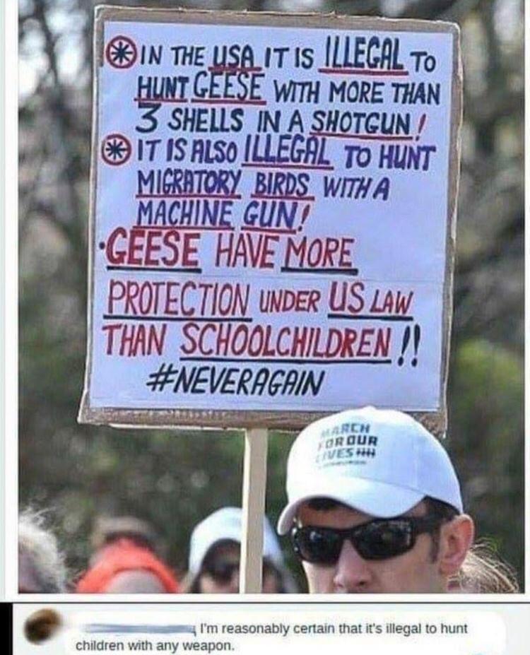 ITIS UECl m b gmc E Wi MORE ThaN SHELLS IN A SHOTGUN PROTECTION uvoer US 4w THAN SCHOOLCHILDREN AEVEAHFN