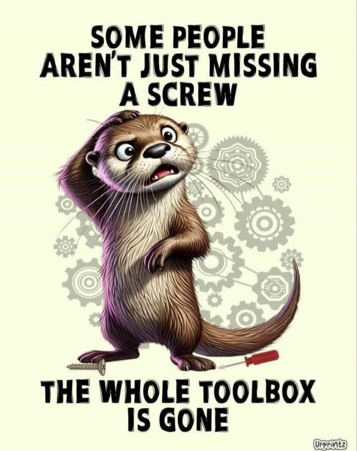 SOME PEOPLE AREN'T JUST MISSING A SCREW THE WHOLE TOOLBOX IS GONE