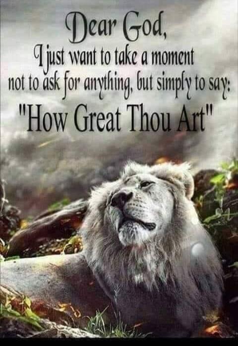 Dear God, I just want to take a moment not to ask for anything, but simply to say: 
