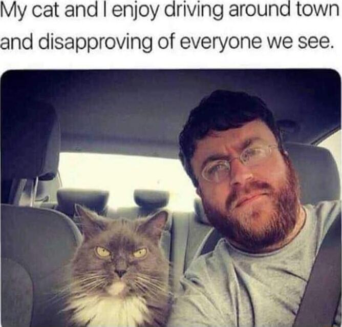 My cat and enjoy driving around and disapproving of everyone we see