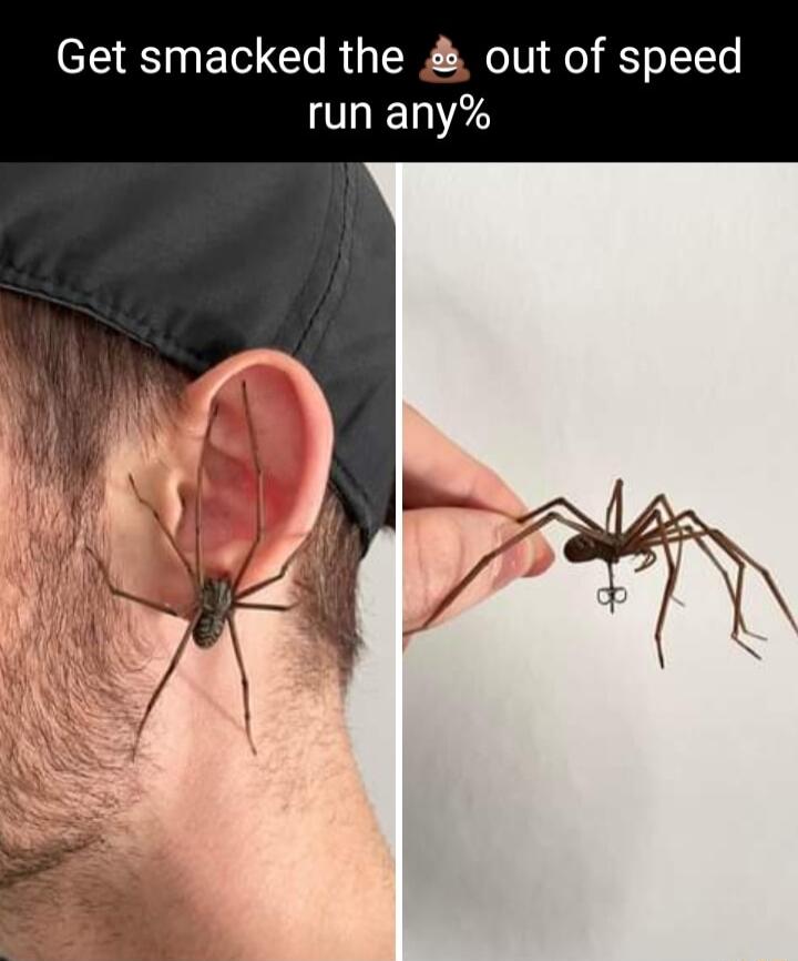 Get smacked the out of speed IOLENA