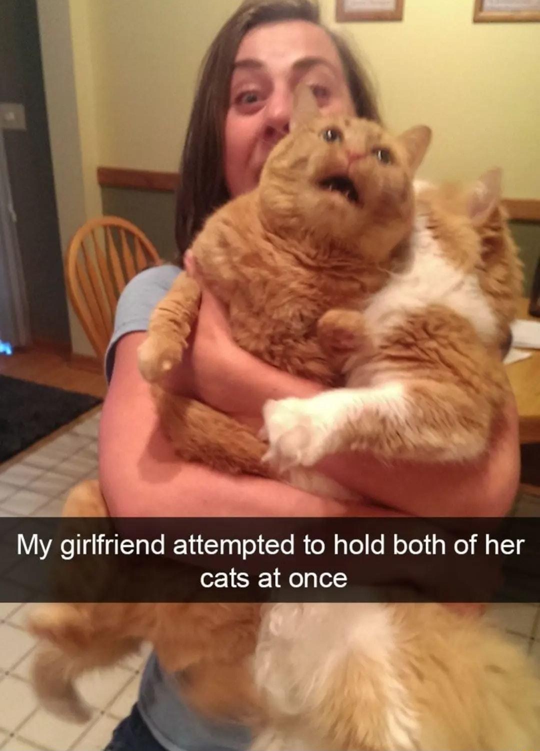My girlfriend attempted to hold both of her cats at once
