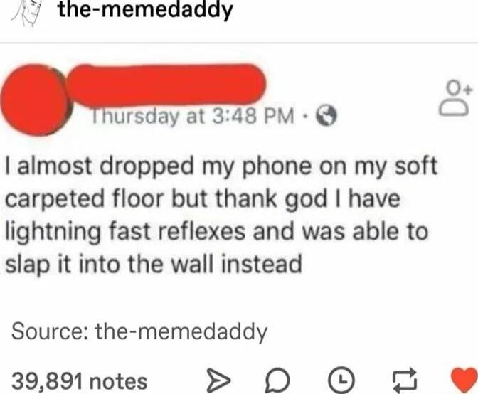 the memedaddy O hursday at 348 PM Q o almost dropped my phone on my soft carpeted floor but thank god have lightning fast reflexes and was able to slap it into the wall instead Source the memedaddy 39891 notes 0 O 9