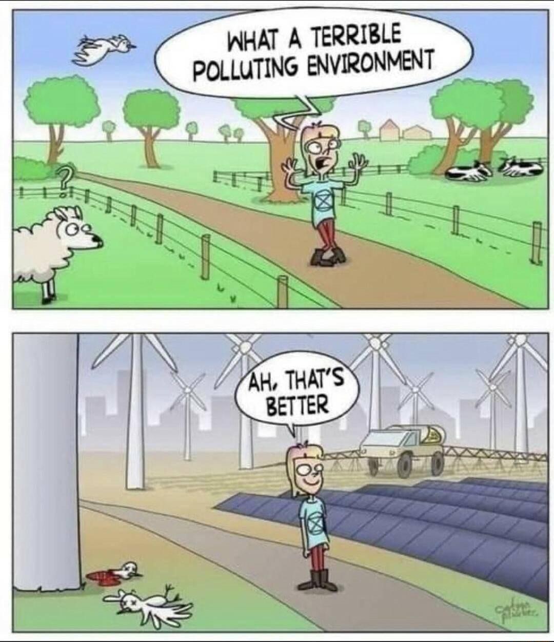 IAHAT A TERRIBLE VIRONMENT _ _POLLUTING EN