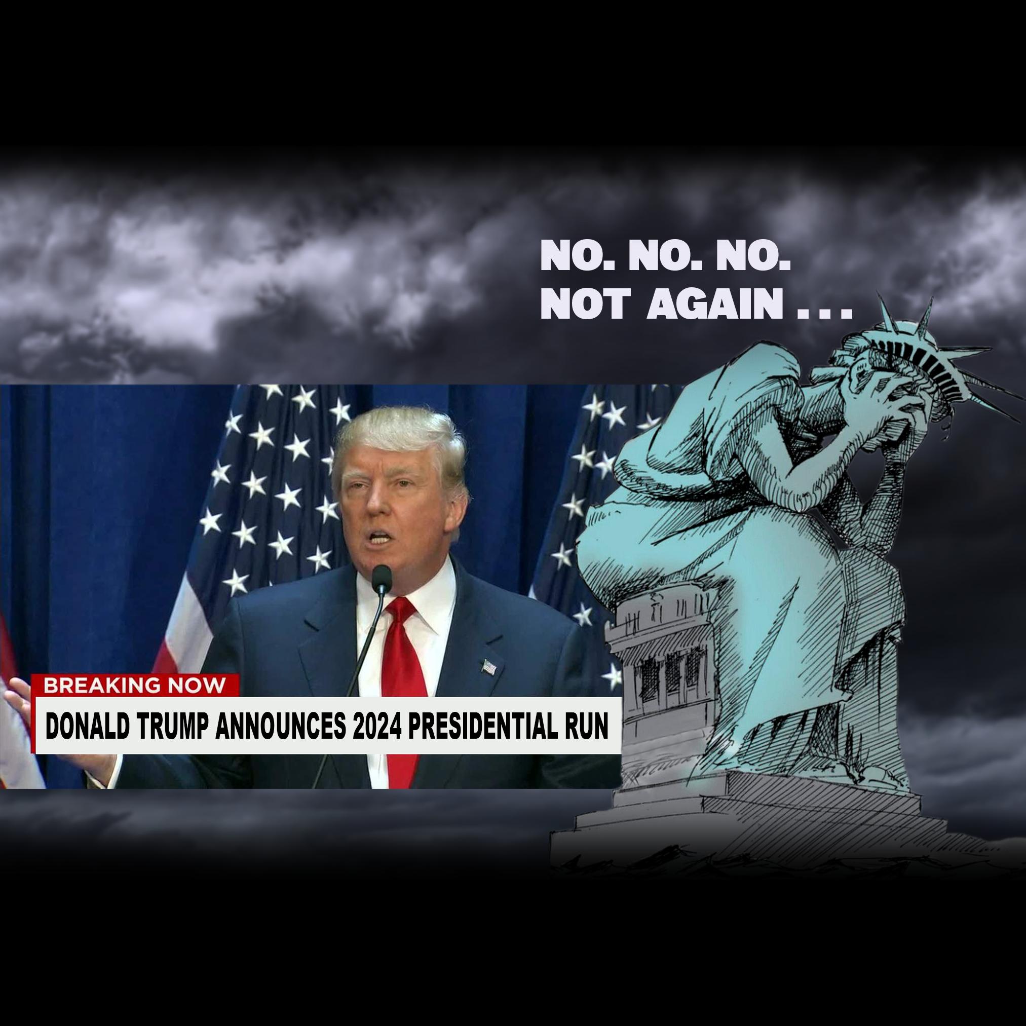 DONALD TRUM ANNOUNCES 2024 PRESIDENTIAL RUN 85