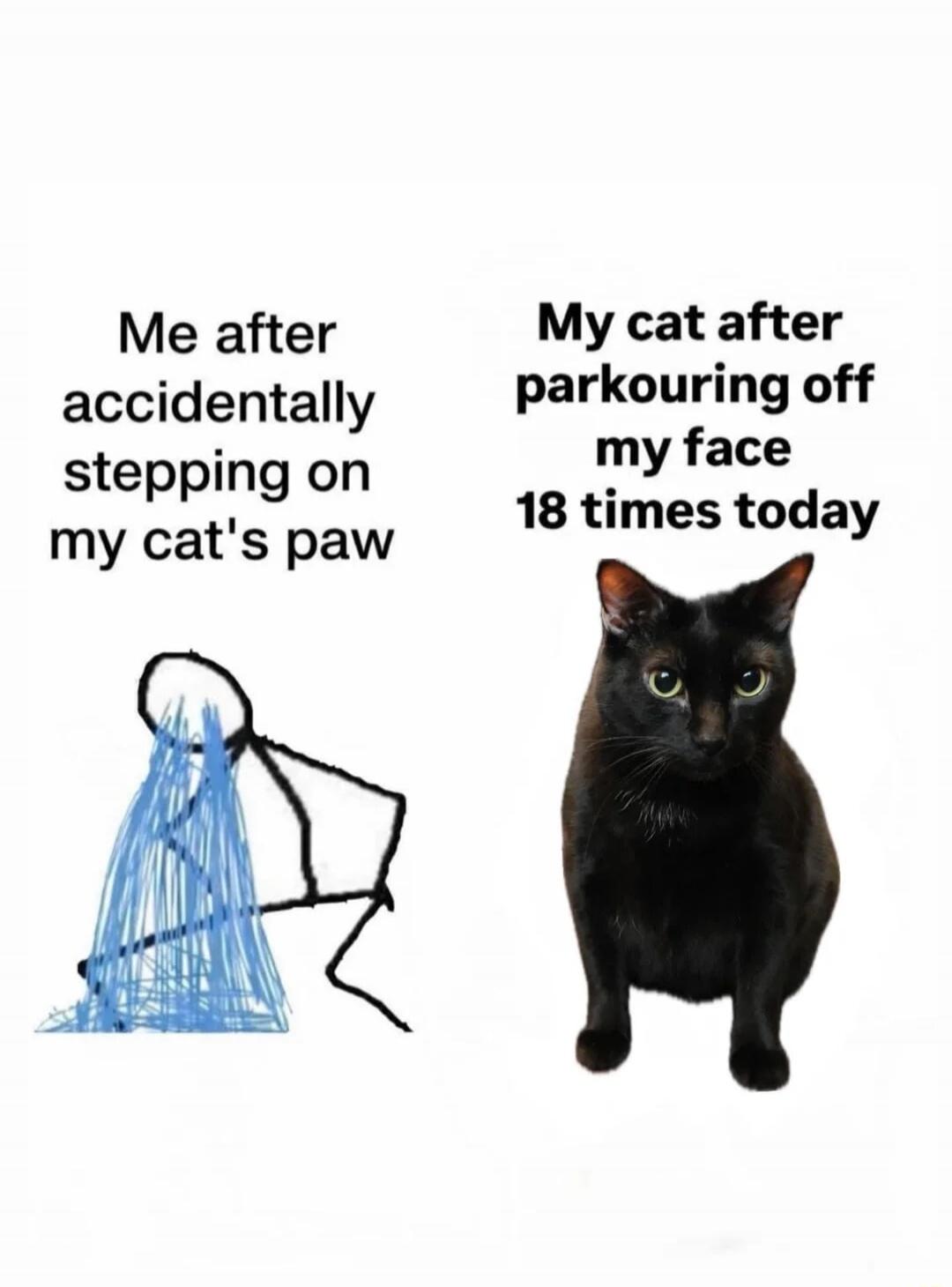 Me after accidentally stepping on my cat's paw. My cat after parkouring off my face 18 times today.