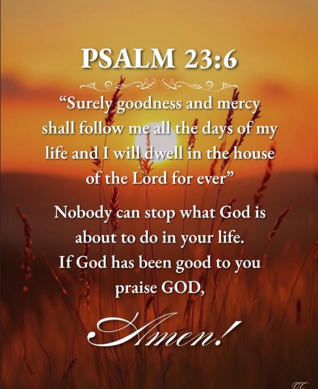 PSALM 23:6 “Surely goodness and mercy shall follow me all the days of my life and I will dwell in the house of the Lord for ever” Nobody can stop what God is about to do in your life. If God has been good to you praise GOD, Amen!
