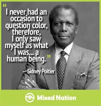I never had an occasion to question color, therefore, I only saw myself as what I was... a human being. - Sidney Poitier. Mixed Nation.