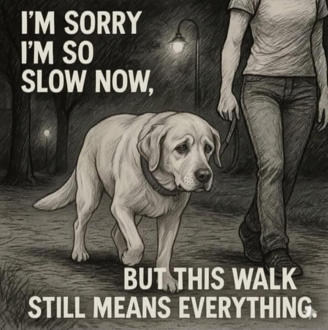 I'M SORRY I'M SO SLOW NOW, BUT THIS WALK STILL MEANS EVERYTHING.