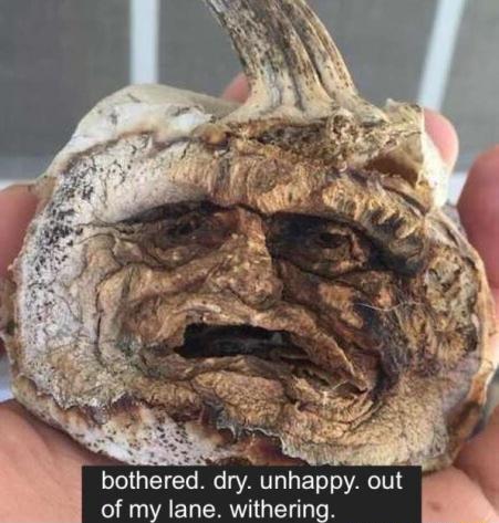 bothered dry unhappy out of my lane withering