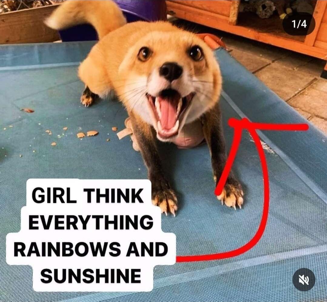 GIRL THINK EVERYTHING RAINBOWS AND M SUNSHINE