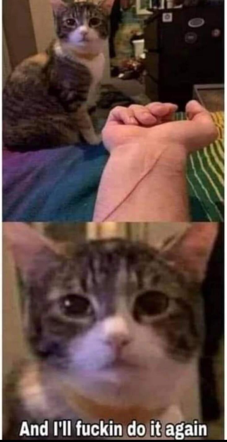 And Ill fuckin doitagain