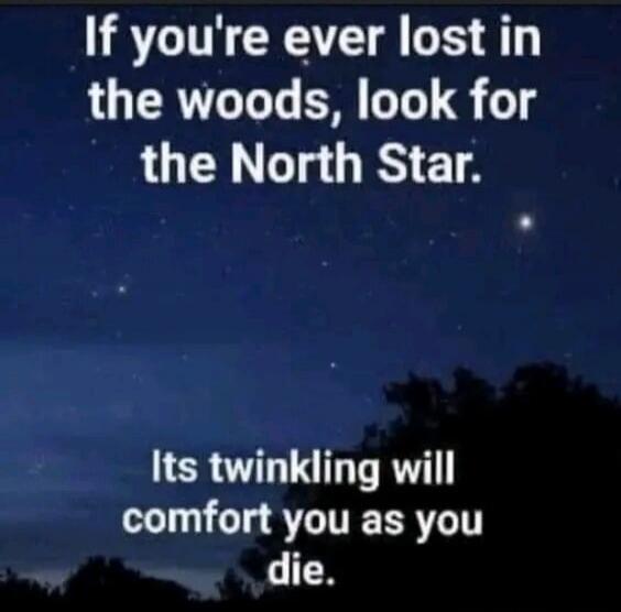 If you're ever lost in the woods, look for the North Star. Its twinkling will comfort you as you die.