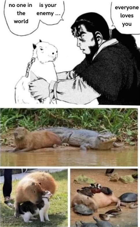 noonein isyour the enemy