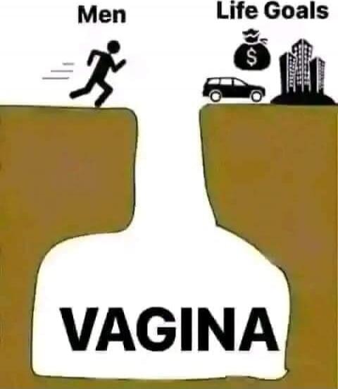 Men Life Goals VAGINA