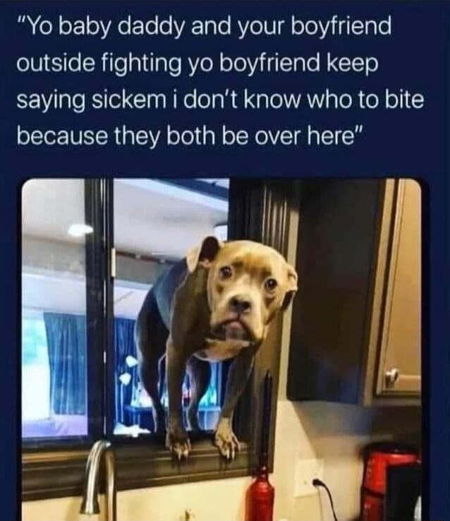 Yo baby daddy and your boyfriend outside fighting yo boyfriend keep saying sickem i dont know who to bite LI IVECR VA oTol al o TRV 1