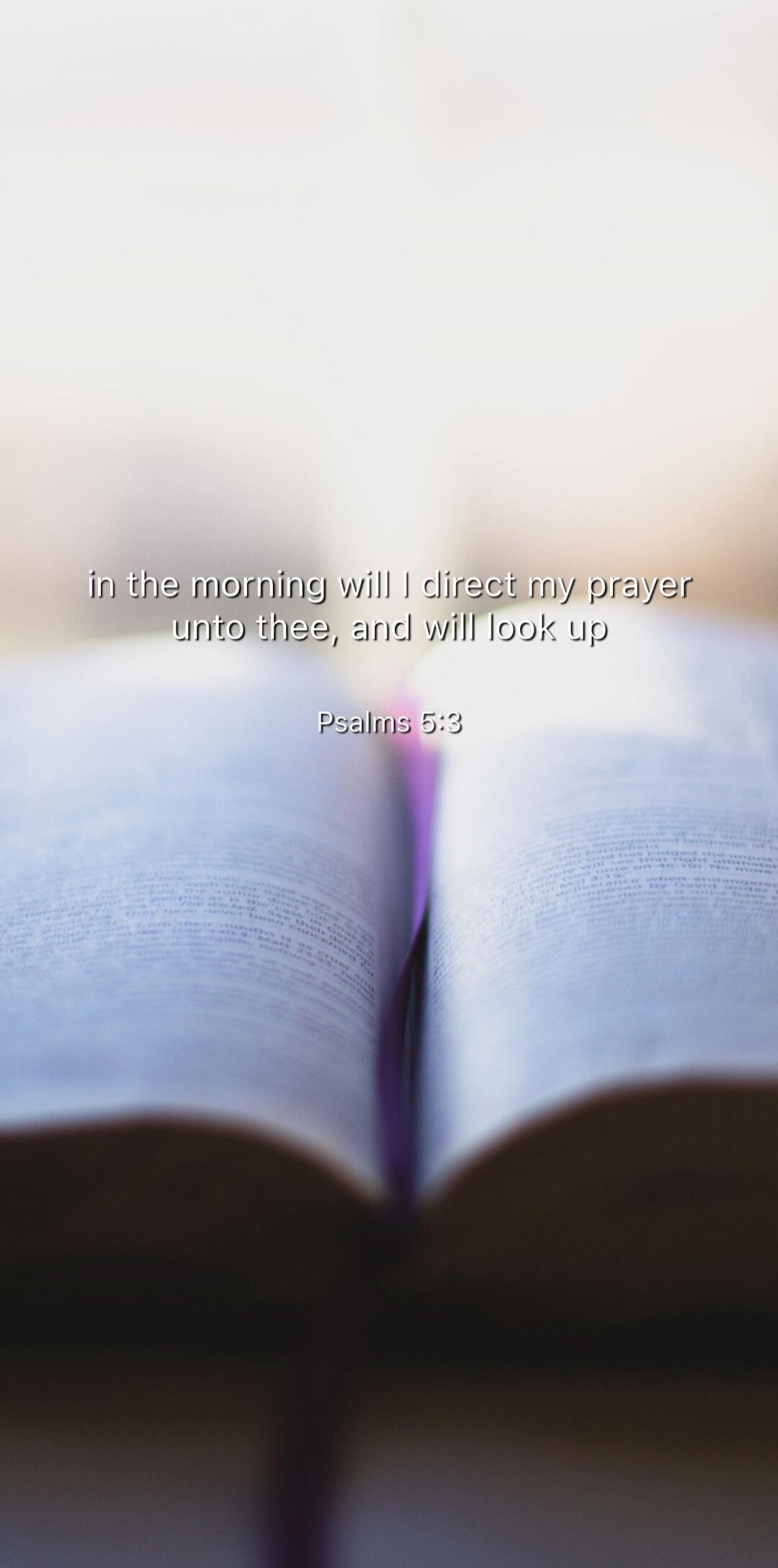 in the morning will I direct my prayer unto thee, and will look up

Psalms 5:3