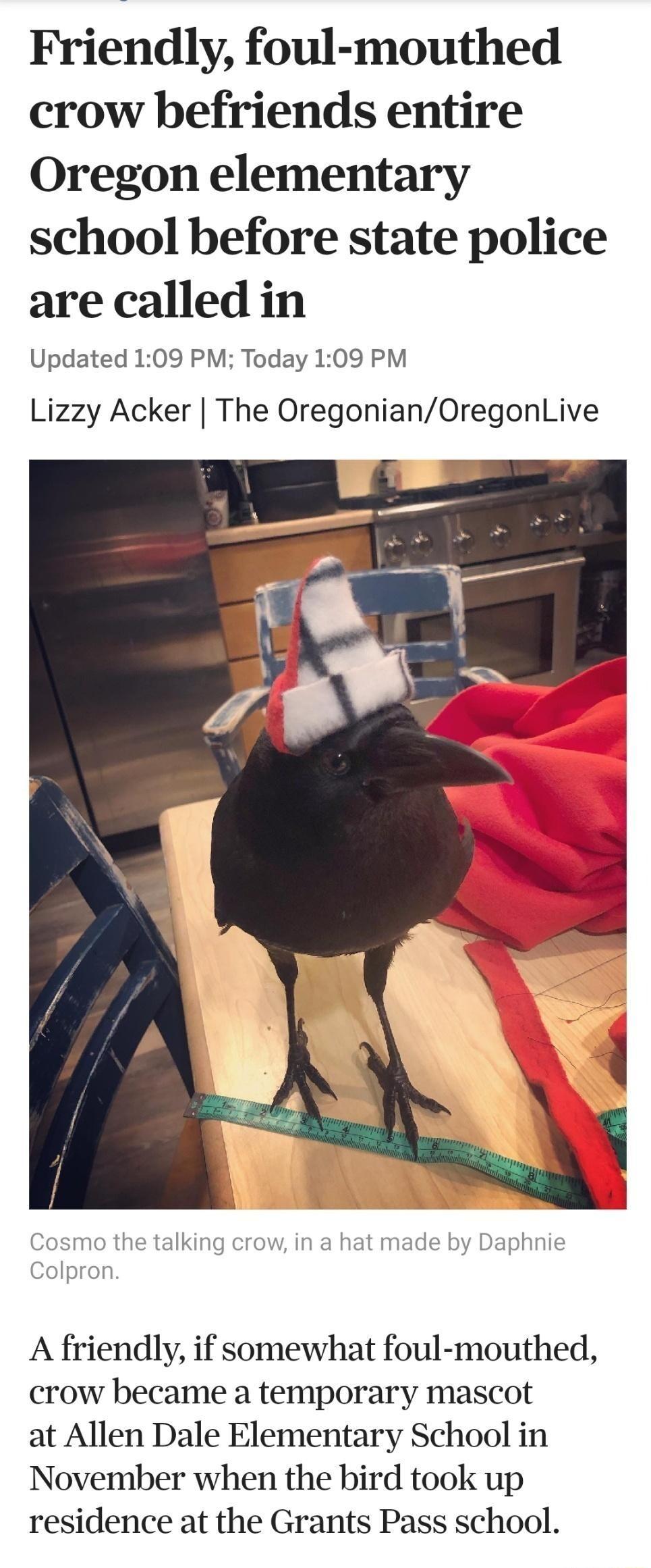 Friendly foul mouthed crow befriends entire Oregon elementary school before state police are called in Updated 109 PM Today 109 PM Lizzy Acker The OregonianOregonLive smo the talking crow in a hat made by Dapt A friendly if somewhat foul mouthed crow became a temporary mascot at Allen Dale Elementary School in November when the bird took up residence at the Grants Pass school