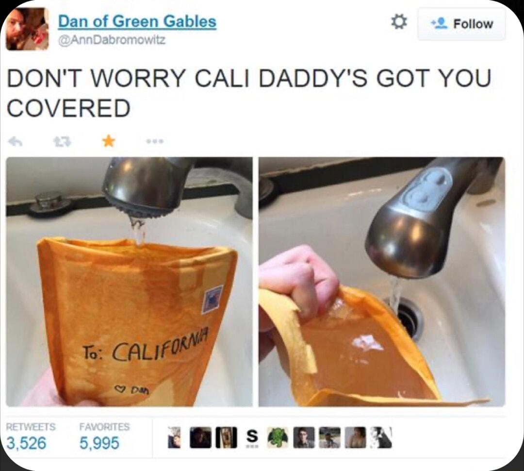 i Dan of Green Gables o Fallnwj DONT WORRY CALI DADDYS GOT YOU COVERED B 352 cBfsenTdA 4